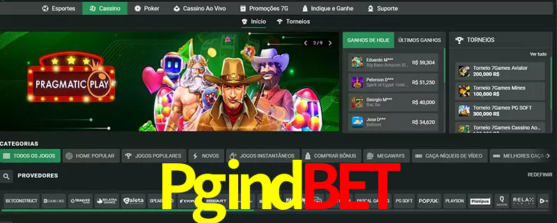 cassino Pgindbet